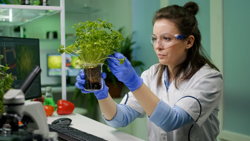 agrostrateg